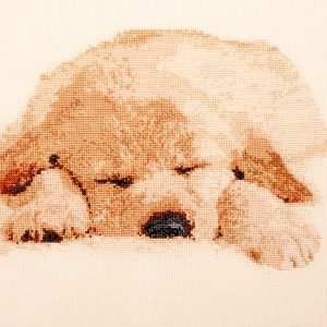 Cross Stitch Embroidery picture of a sleeping doggy for framing