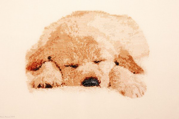 Cross Stitch Embroidery picture of a sleeping doggy for framing