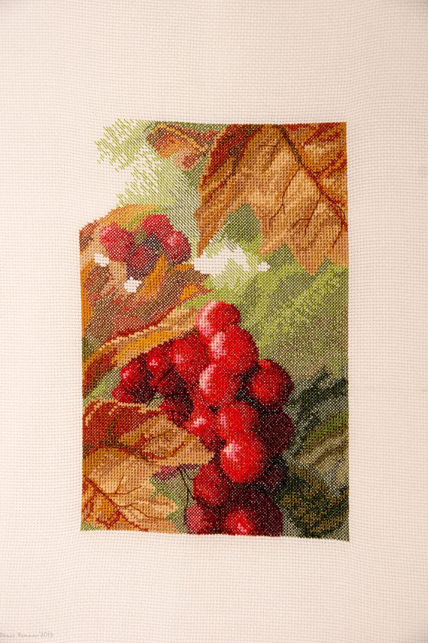 Cross Stitch Embroidery picture of red berries for framing